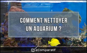 comment-nettoyer-un-aquarium2