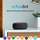 Amazon Echo Dot mini