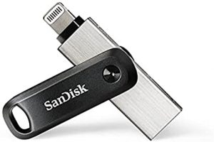 Sandisk SDIX60N-128G-GN6NE