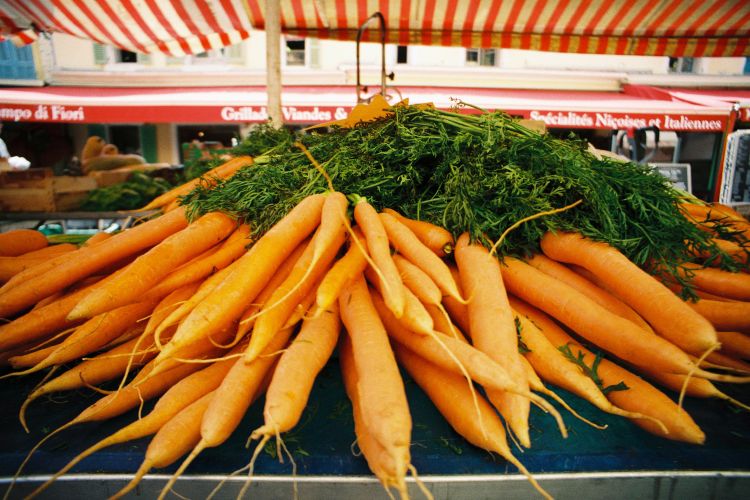 carottes-et-la-coriandre