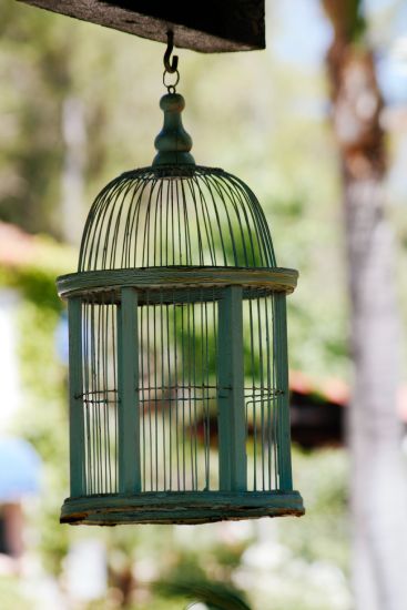 décorer-cage-à-oiseaux