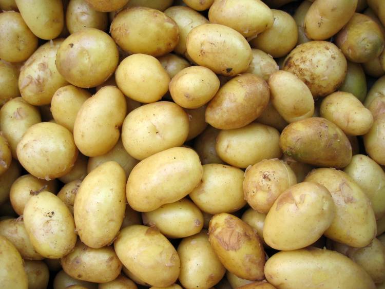 pommes-de-terre